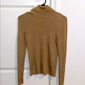 Gold Polo Ralph Lauren Turtle Neck